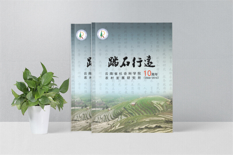 企业十周年庆胶装画册设计定制